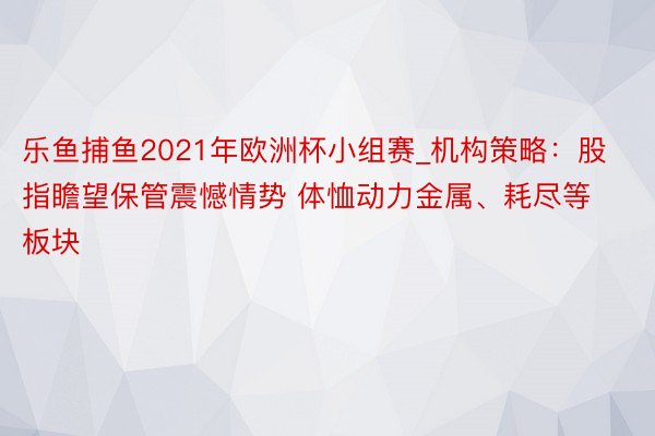 乐鱼捕鱼2021年欧洲杯小组赛_机构策略：股指瞻望保管震憾情势 体恤动力金属、耗尽等板块