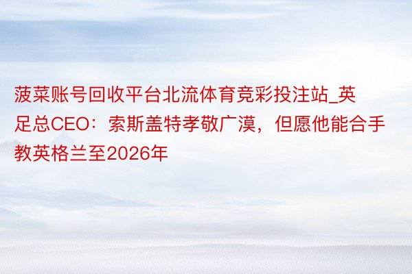 菠菜账号回收平台北流体育竞彩投注站_英足总CEO：索斯盖特孝敬广漠，但愿他能合手教英格兰至2026年